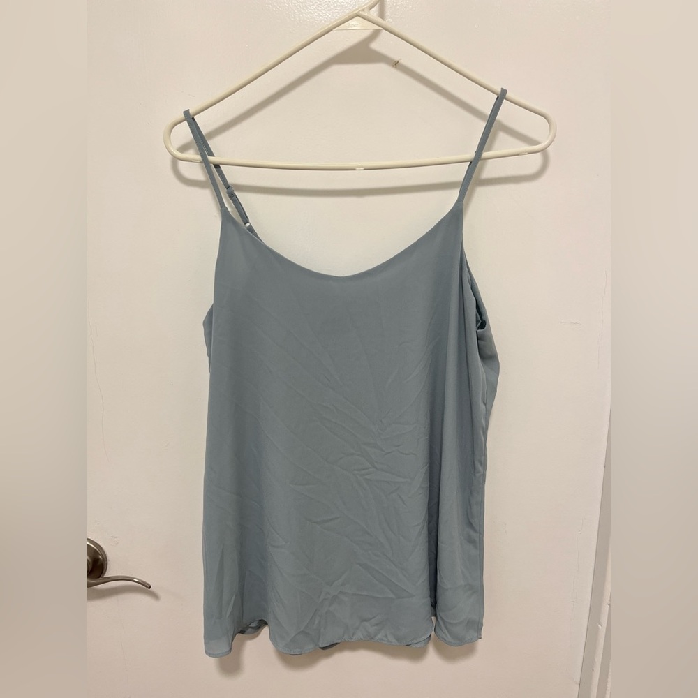 Pink Rose light blue spaghetti strap top.